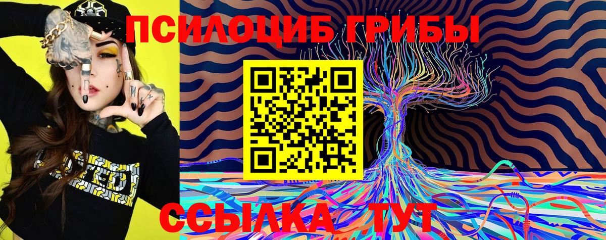 Наркошоп  A-PVP СОЛЬ кристаллы  Гашиш  Cocaine  Вход с VPN  Ревда  Меф МЯУ МЯУ  